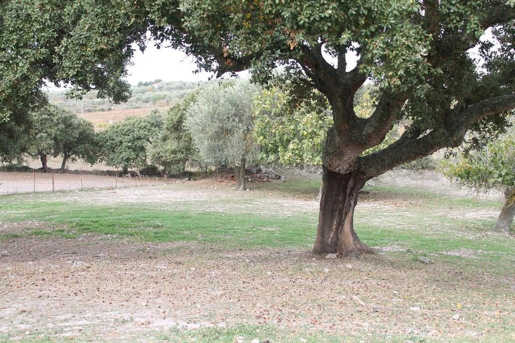 Agriturismo Su Recreu Ittiri Exterior foto